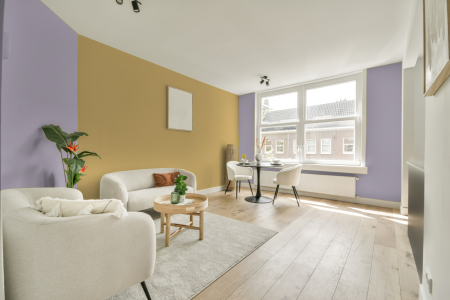 apartement met de kleur Ral 310 80 10 op de muren