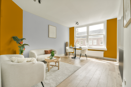 apartement met de kleur Ral 1006 op de muren