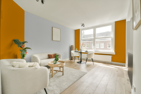 apartement met de kleur Ral 1007 op de muren