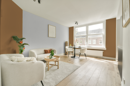 apartement met de kleur Ral 1011 op de muren