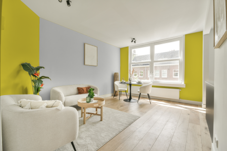 apartement met de kleur Ral 1016 op de muren