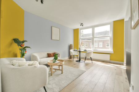 apartement met de kleur Ral 1018 op de muren