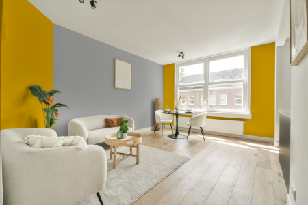 apartement met de kleur Ral 1021 op de muren