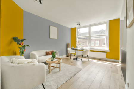 apartement met de kleur Ral 1023 op de muren