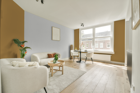 apartement met de kleur Ral 1024 op de muren