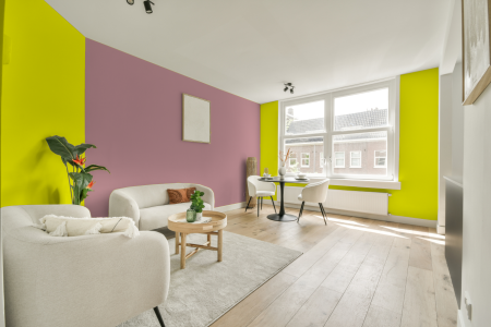 apartement met de kleur Ral 1026 op de muren