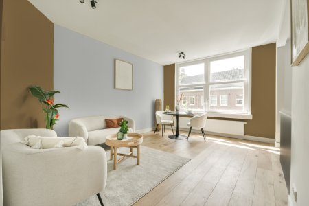 apartement met de kleur Ral 1036 op de muren