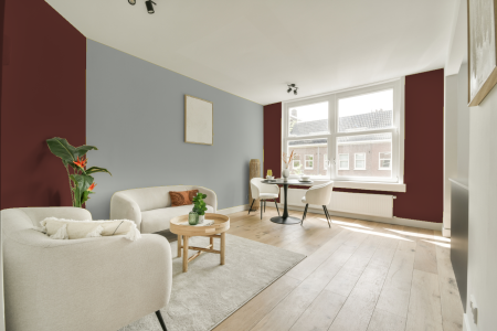 apartement met de kleur Ral 3009 op de muren