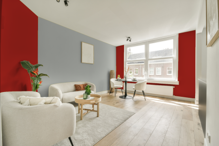 apartement met de kleur Ral 3020 op de muren