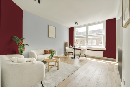 apartement met de kleur Ral 3032 op de muren