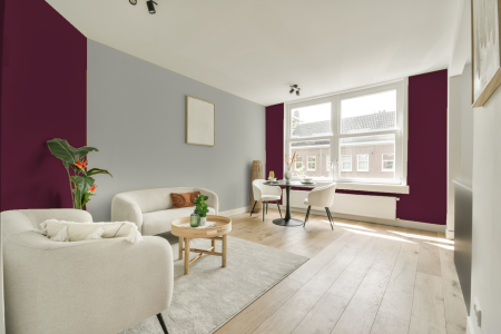 apartement met de kleur Ral 4004 op de muren