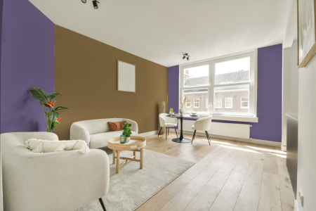 apartement met de kleur Ral 4011 op de muren