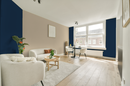 apartement met de kleur Ral 5003 op de muren