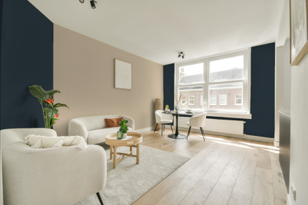 apartement met de kleur Ral 5008 op de muren