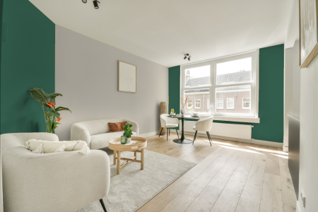 apartement met de kleur Ral 6000 op de muren