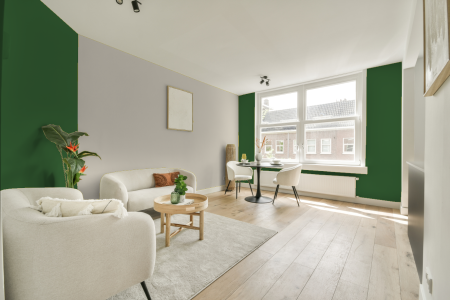 apartement met de kleur Ral 6001 op de muren