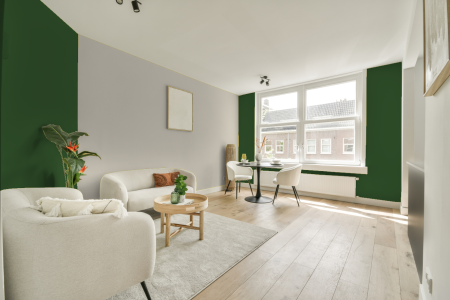 apartement met de kleur Ral 6002 op de muren