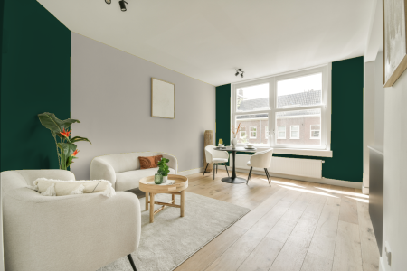 apartement met de kleur Ral 6005 op de muren