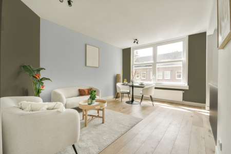 apartement met de kleur Ral 6013 op de muren