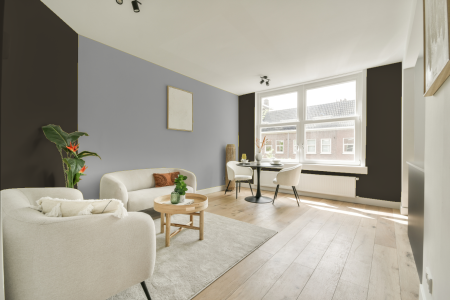 apartement met de kleur Ral 6014 op de muren