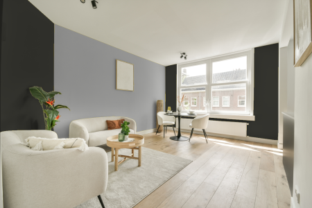 apartement met de kleur Ral 6015 op de muren