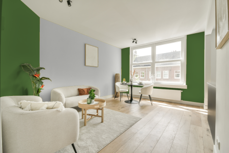 apartement met de kleur Ral 6017 op de muren