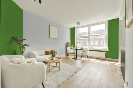 apartement met de kleur Ral 6018 op de muren