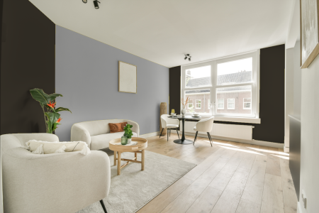 apartement met de kleur Ral 6022 op de muren