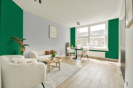 apartement met de kleur Ral 6024 op de muren