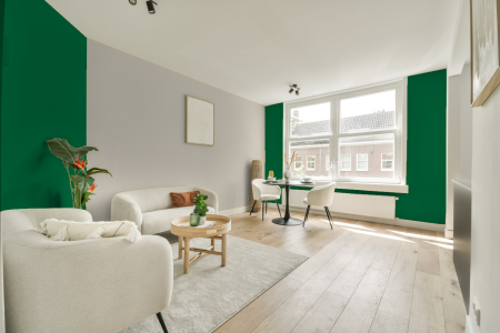 apartement met de kleur Ral 6029 op de muren