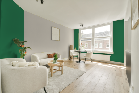 apartement met de kleur Ral 6032 op de muren