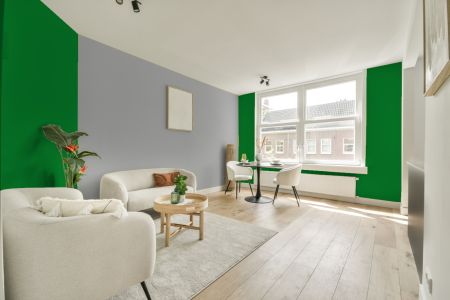 apartement met de kleur Ral 6037 op de muren