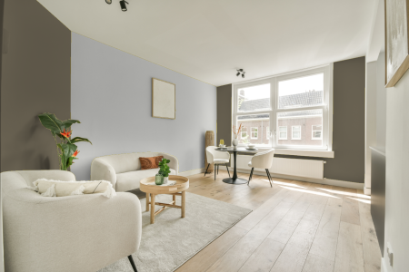 apartement met de kleur Ral 7002 op de muren