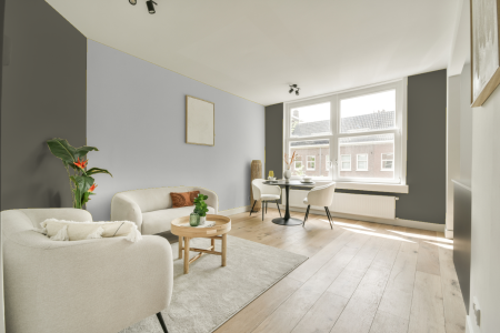 apartement met de kleur Ral 7003 op de muren