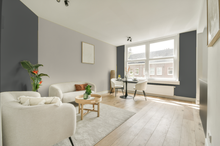 apartement met de kleur Ral 7005 op de muren