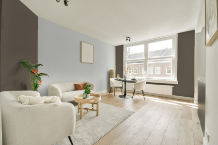 apartement met de kleur Ral 7006 op de muren