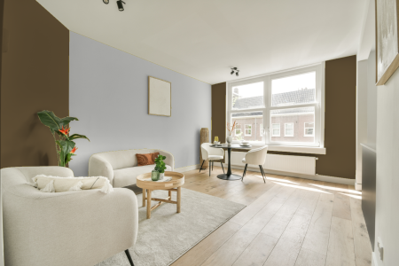 apartement met de kleur Ral 7008 op de muren