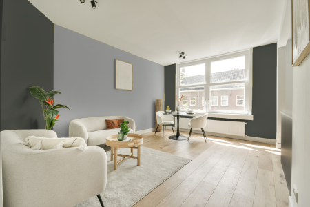 apartement met de kleur Ral 7009 op de muren