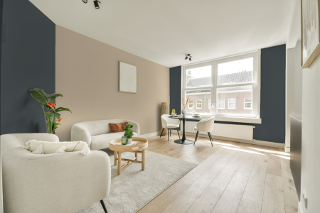 apartement met de kleur Ral 7011 op de muren