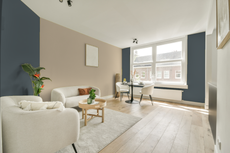 apartement met de kleur Ral 7031 op de muren