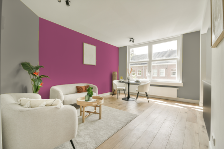 apartement met de kleur Ral 7032 op de muren