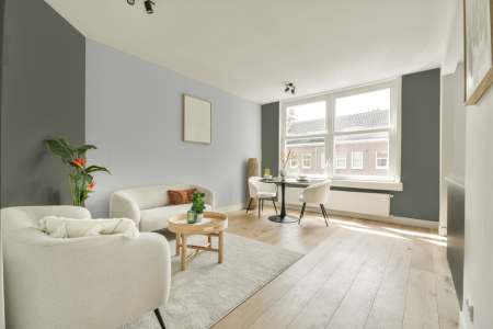 apartement met de kleur Ral 7033 op de muren