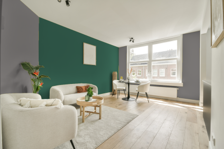 apartement met de kleur Ral 7036 op de muren