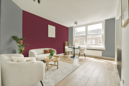 apartement met de kleur Ral 7038 op de muren