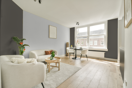 apartement met de kleur Ral 7039 op de muren