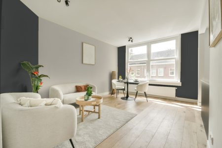 apartement met de kleur Ral 7043 op de muren