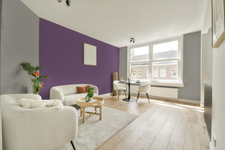 apartement met de kleur Ral 7044 op de muren