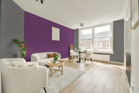 apartement met de kleur Ral 9007 op de muren