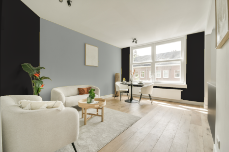 apartement met de kleur Ral 9017 op de muren