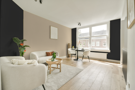 apartement met de kleur Ral 9021 op de muren